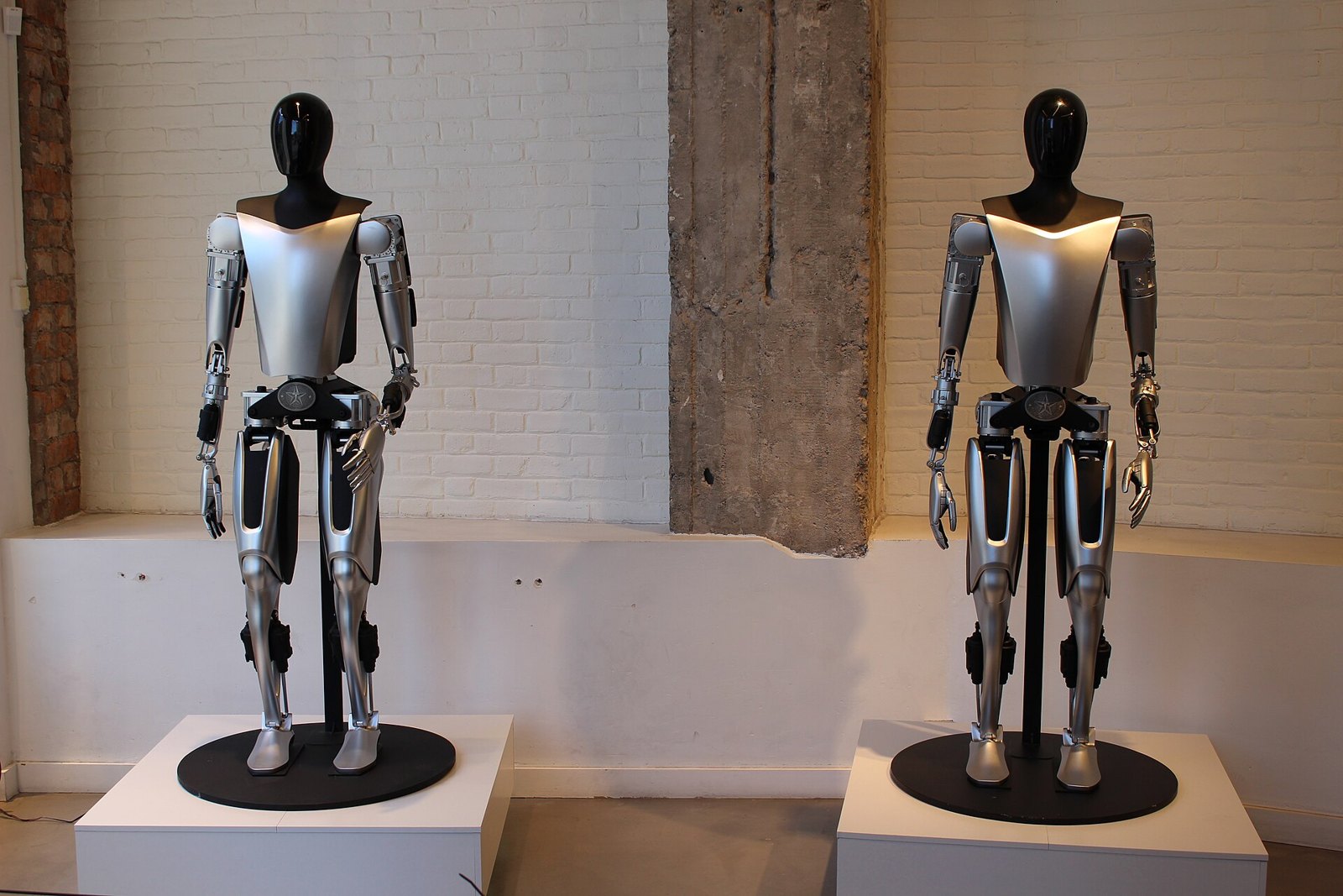 Zwei Tesla-Optimus-Roboter der zweiten Generation auf Ausstellungspodesten in einem Showroom